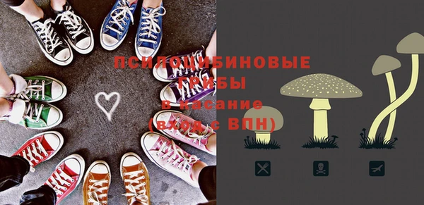 сатива Абаза